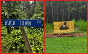 DuckTown_SSouthSign